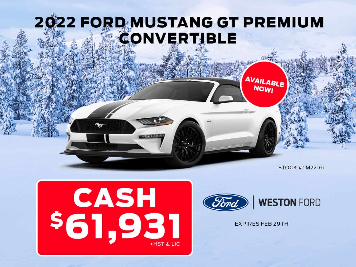 Vehicle Specials Weston Ford