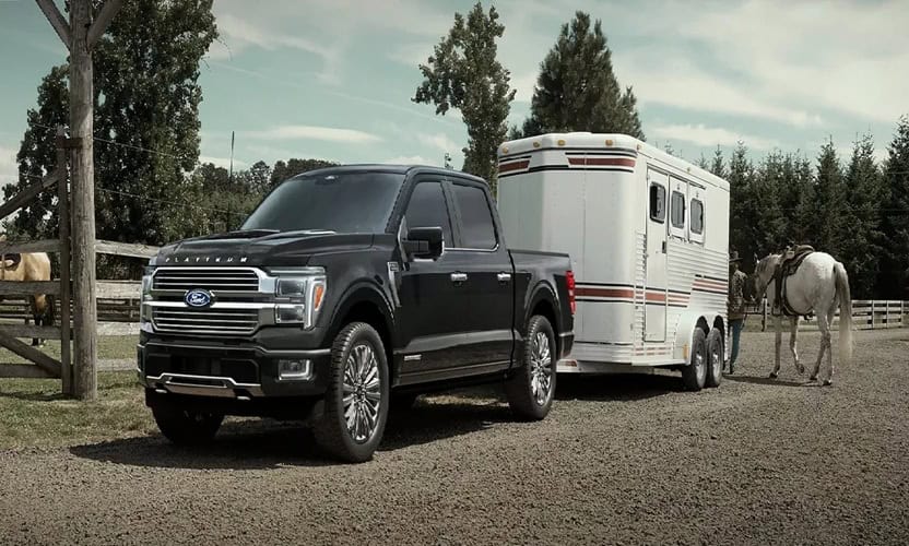 2025 Black Ford F-150